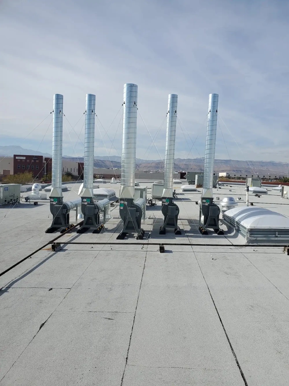 Western Environmental